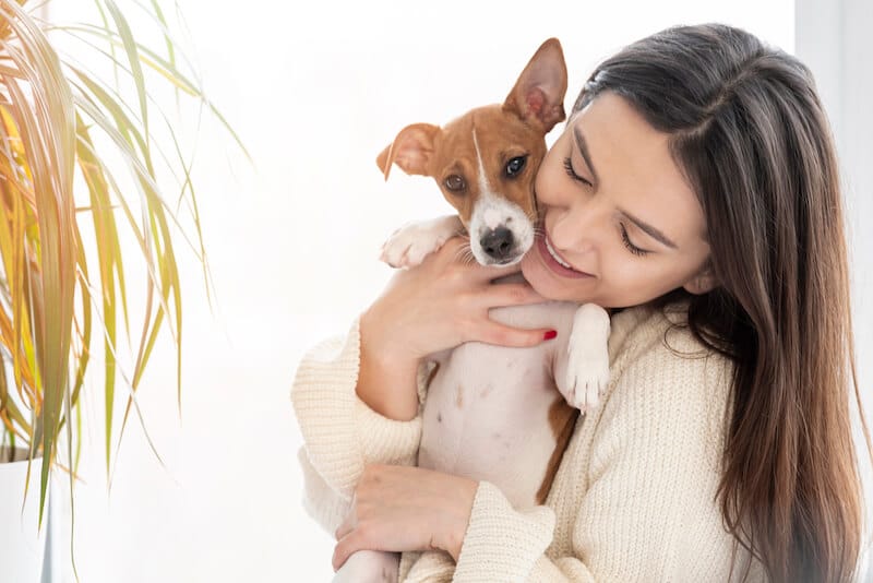 Le remède de grand-mère quand mon chien se gratte