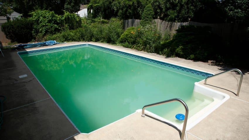 Le remède de grand-mère traite l'eau verte de la piscine