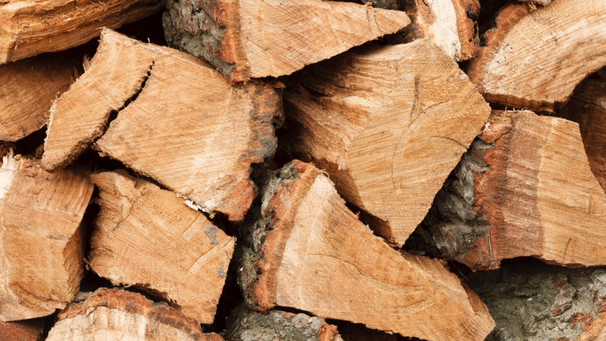 Où trouver du bois de chauffage pas cher au début de l'hiver 2022?