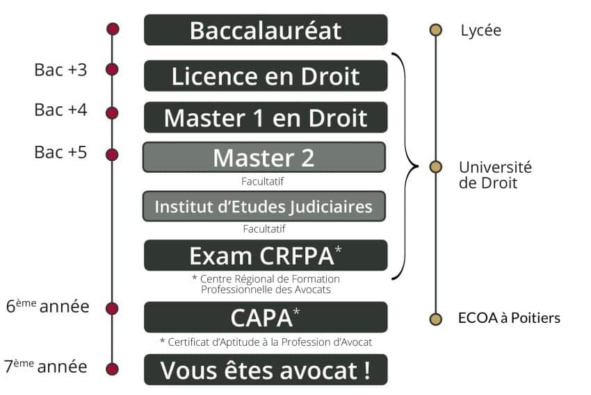 Quel diplôme faut-il pour devenir avocat?