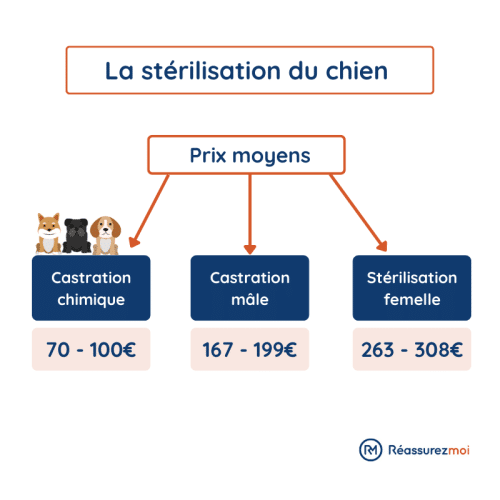 Quel est le coût de la stérilisation d'un chien?
