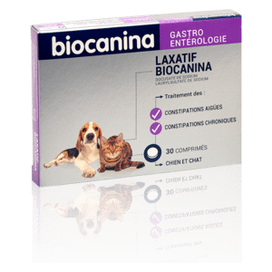 Quel remède donner à un chien constipé?